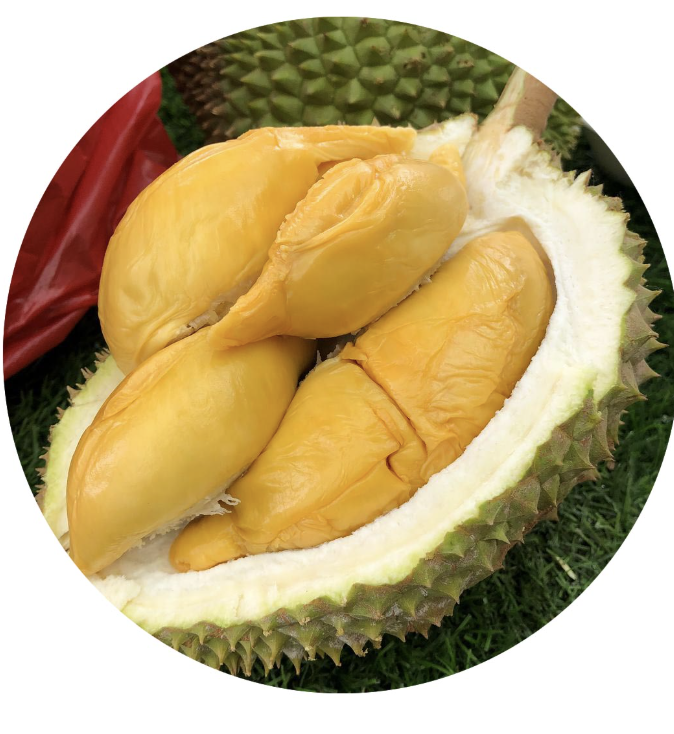 Red Prawn 红虾 — fresh fruit delivery Singapore