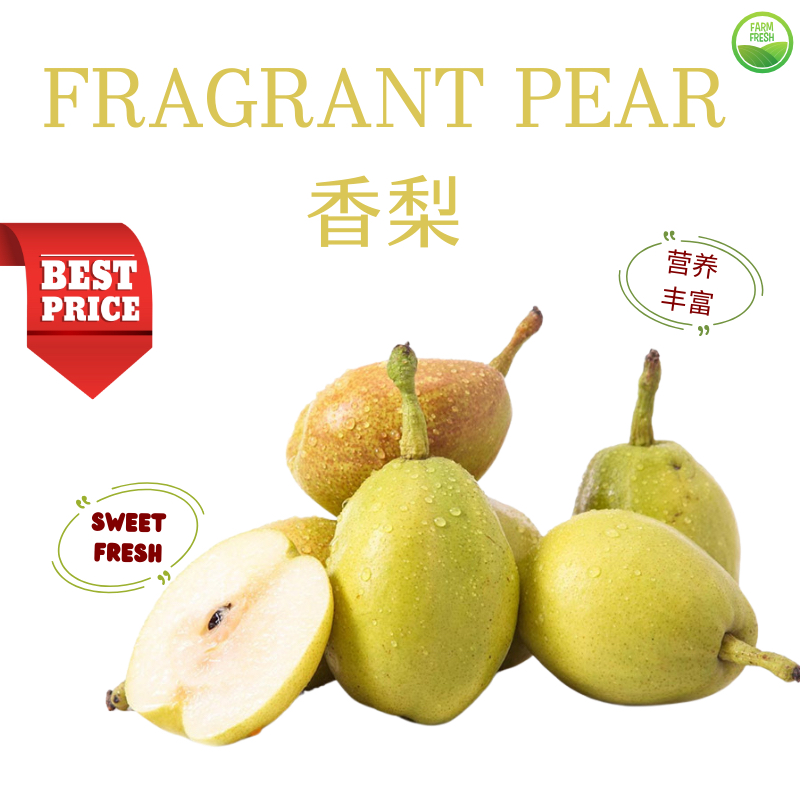 Fragrance Pear 香梨 — fresh fruit delivery Singapore