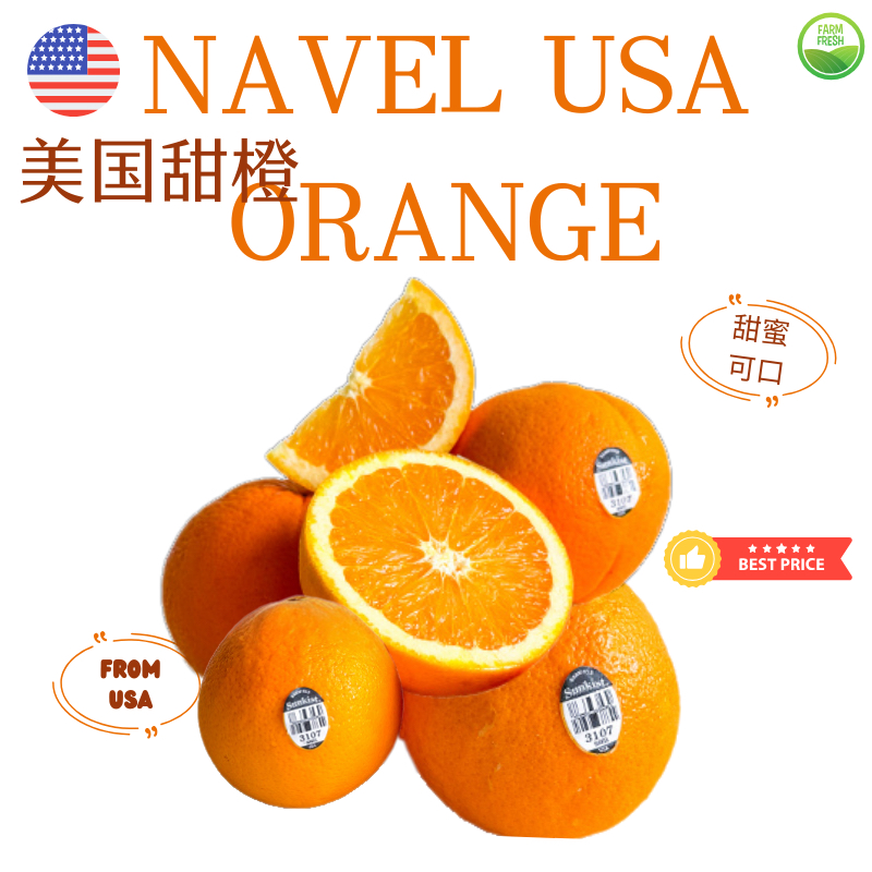 USA Sweet Orange 美国甜橙 — fresh fruit delivery Singapore