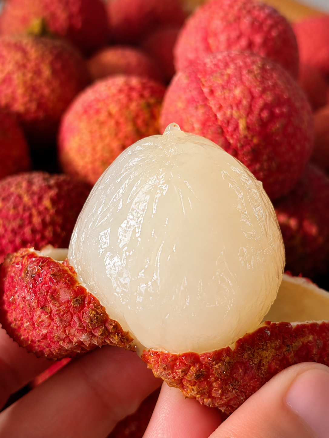 Premium Lychee 优质荔枝 — fresh fruit delivery Singapore